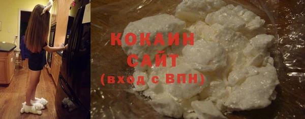 сатива Новозыбков