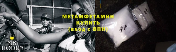 сатива Новозыбков