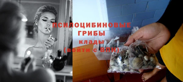 дживик Новодвинск
