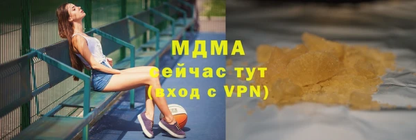 сатива Новозыбков