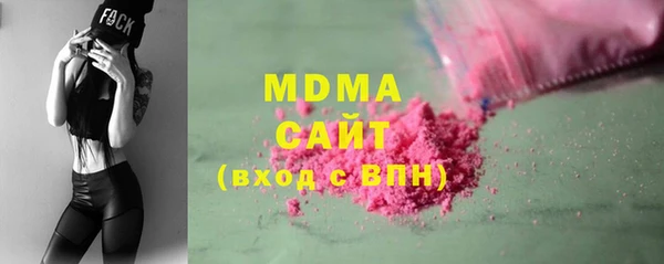 сатива Новозыбков