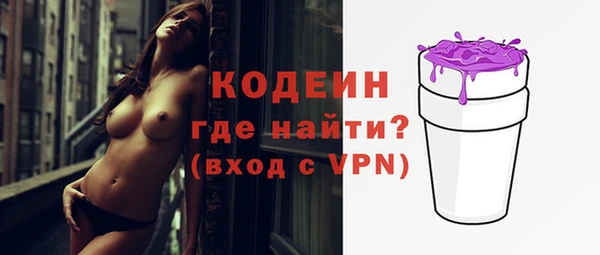 сатива Новозыбков