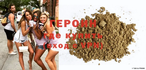 сатива Новозыбков