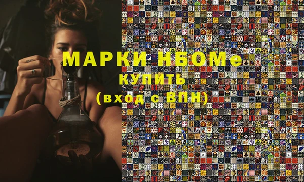 сатива Новозыбков