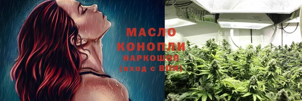 сатива Новозыбков