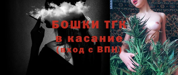 сатива Новозыбков