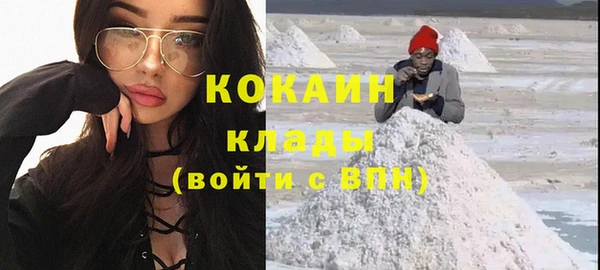 сатива Новозыбков
