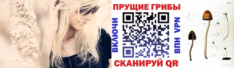 купить  цена  Россошь  площадка состав  Галлюциногенные грибы Magic Shrooms 