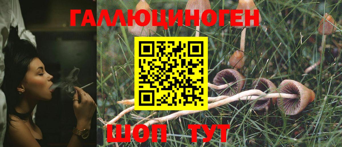 Псилоцибиновые грибы GOLDEN TEACHER Россошь