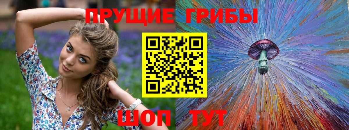 Россошь  купить закладку  Псилоцибиновые грибы GOLDEN TEACHER  Вход с VPN  Псилоцибиновые грибы мухоморы 